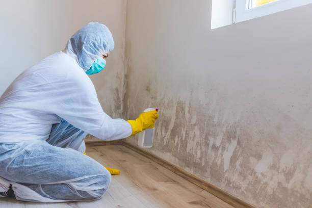 Licensed Crawl Space Mold Remediation service in Brentwood, MD - Car Mold Remediation